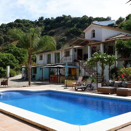 Vegan Guesthouse Finca Pereila Коін Екстер'єр фото
