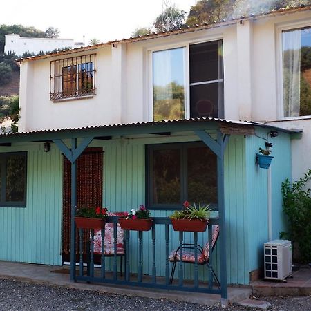 Vegan Guesthouse Finca Pereila Коін Екстер'єр фото