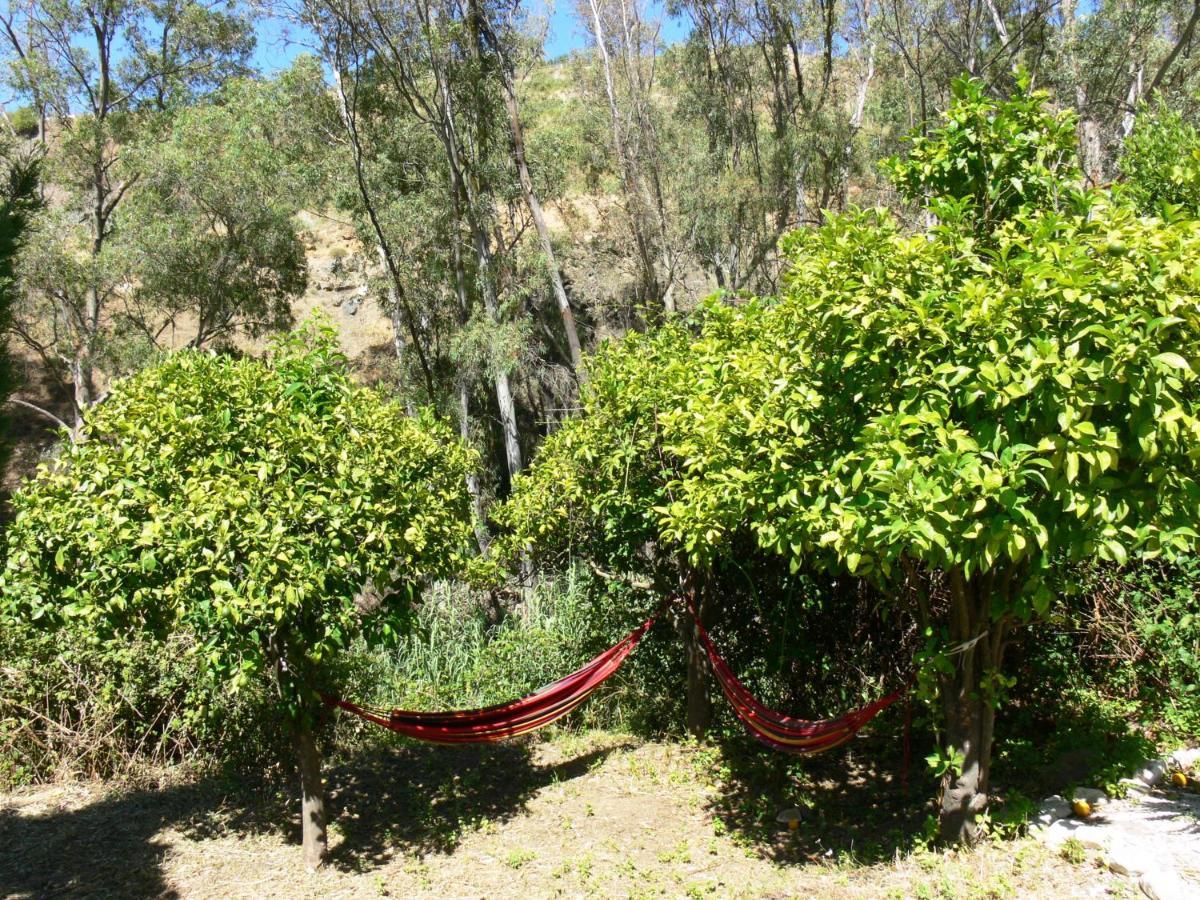 Vegan Guesthouse Finca Pereila Коін Екстер'єр фото