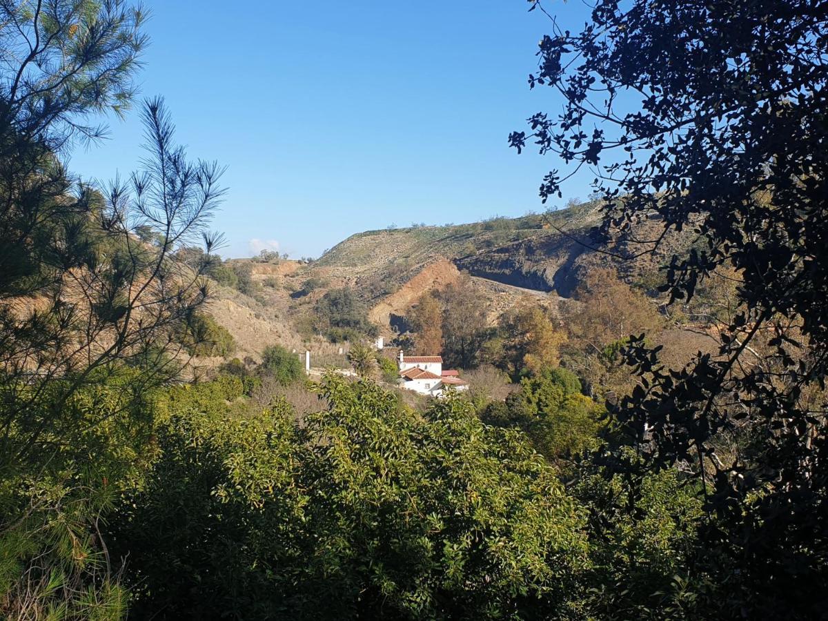 Vegan Guesthouse Finca Pereila Коін Екстер'єр фото