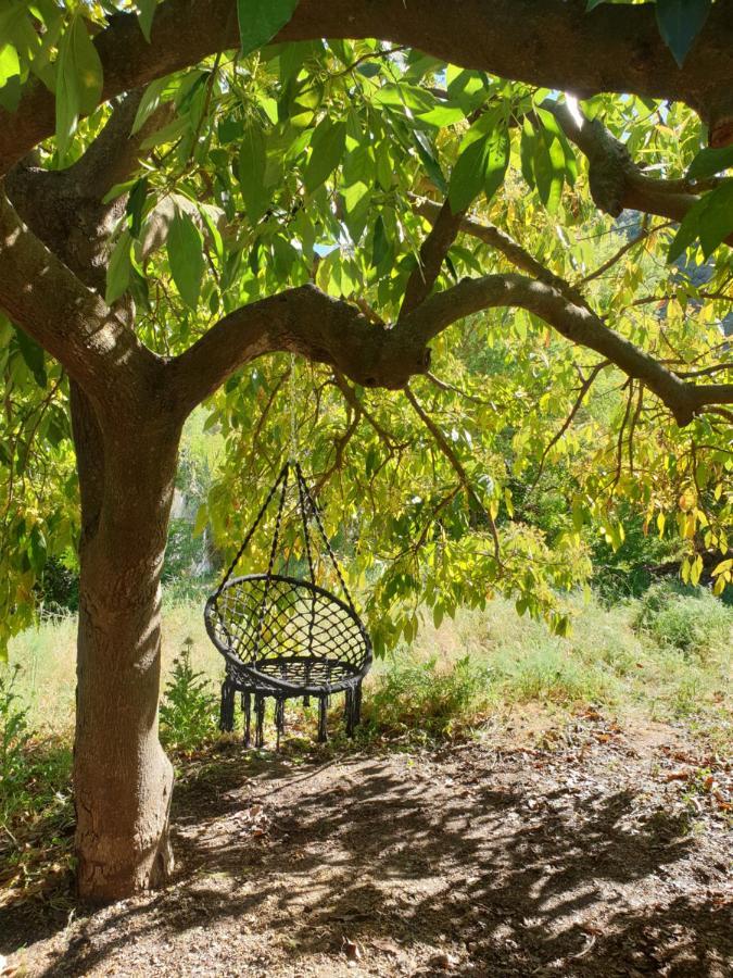 Vegan Guesthouse Finca Pereila Коін Екстер'єр фото